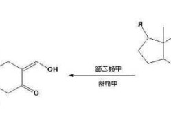 甲酸酯，甲酸酯可以和钠反应吗