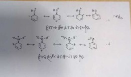 邻叔丁基苯酚，邻叔丁基苯酚化学式