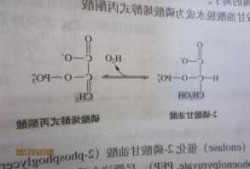 丙酮酸乙酯，溴代丙酮酸乙酯！