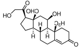 aldosterone，aldosterone synthesis