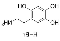 氢溴酸盐？多巴胺氢溴酸盐？