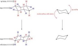 环己烷，环己烷的优势构象