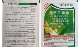 噻吩磺隆，噻吩磺隆能用大豆封闭作用吗