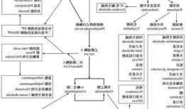 羟基喜树碱，羟基喜树碱作用机制！