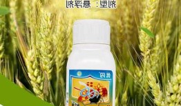 高效氯氰菊酯，高效氯氰菊酯杀什么虫