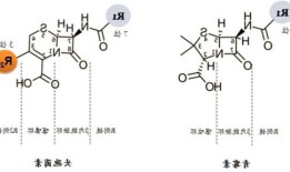 头孢菌素c，头孢菌素C结构式？