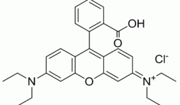 罗丹明b，罗丹明b的相对质量！