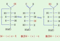 d半乳糖，d半乳糖和l半乳糖区别！