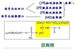 磷脂酰肌醇，磷脂酰肌醇缩写！