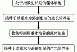 氘气，氘气怎么制取！