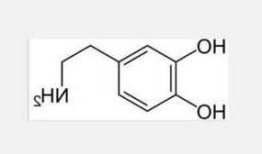 儿茶酚？儿茶酚胺激素不包括？