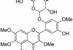 黄酮醇，黄酮醇苷的作用和功效？