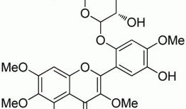 黄酮醇，黄酮醇苷的作用和功效？