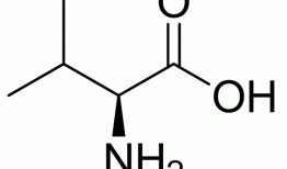 缬氨酸结构，缬氨酸结构简式？