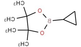 环丙基硼酸，环丙基硼酸频哪醇酯