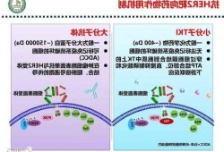 吡咯替尼，吡咯替尼作用机制？