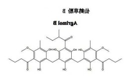 仙鹤草酚b，仙鹤草酚B 肝癌