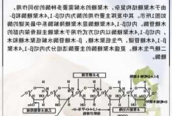 木聚糖酶，木聚糖酶对人体有害吗