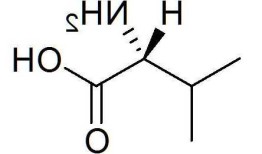 缬氨酸分子量，缬氨酸的rf！