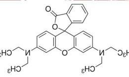 罗丹明b？罗丹明b相对原子质量？