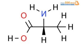 氨基丙酸，2氨基丙酸？