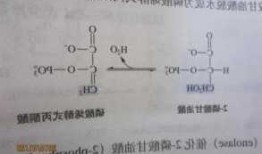 丙酮酸乙酯，溴代丙酮酸乙酯！