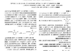 三氟甲基苯胺，三氟甲基苯胺立项