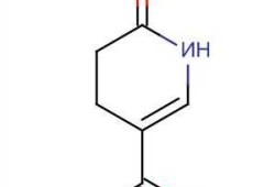 吡啶酮？吡啶酮酸环？