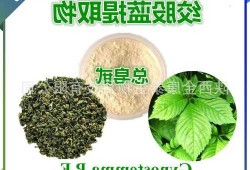 绞股蓝提取物，绞股蓝提取物总皂苷？