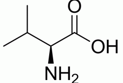 缬氨酸分子量？缬氨酸的化学名称？