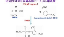 对二甲氨基苯甲醛，对二甲氨基苯甲醛显色原理