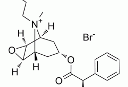 scopolamine，scopolamine 翻译？