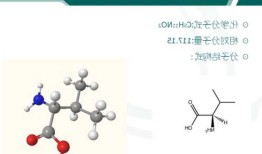 缬氨酸分子量，缬氨酸的理化性质！