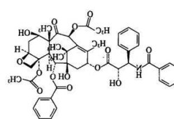 paclitaxel，PaclitaxelFITC？