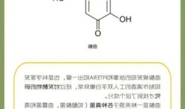 曲酸，曲酸对皮肤的作用与功效