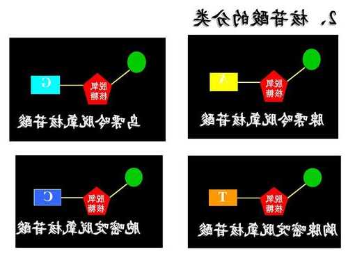 甲基胞嘧啶？甲基胞嘧啶脱氨基变成什么？