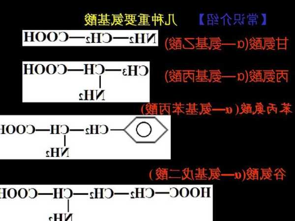 双硫代氨基丙酸，硫代氨基酸是什么?