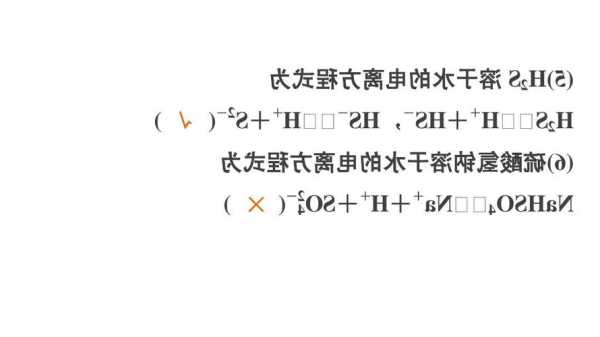 硫酸氢钠？硫酸氢钠的电离方程式？