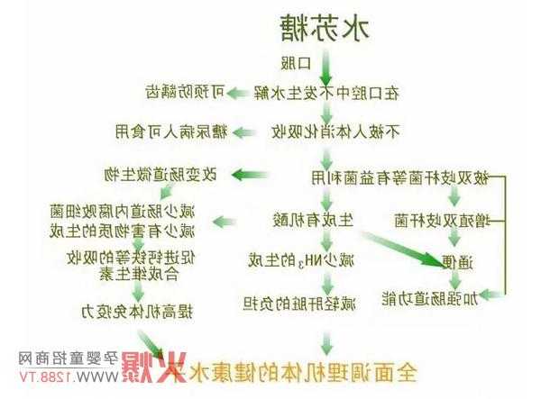 水苏糖是什么，水苏糖是什么提取的