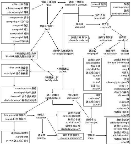 羟基喜树碱，羟基喜树碱作用机制！