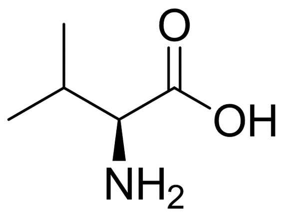 缬氨酸结构？缬氨酸结构式图片？