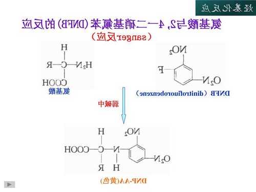 对二甲氨基苯甲醛，对二甲氨基苯甲醛显色原理