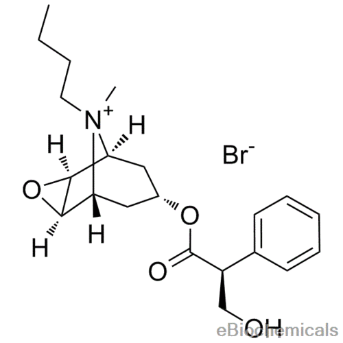 scopolamine，scopolamine 翻译？