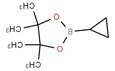 环丙基硼酸，环丙基硼酸频哪醇酯
