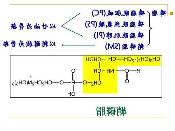 磷脂酰肌醇，磷脂酰肌醇缩写！