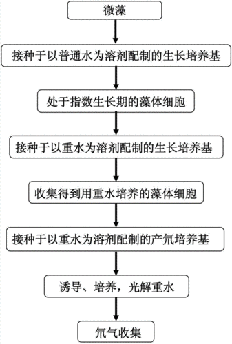 氘气，氘气怎么制取！