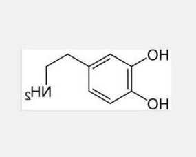 儿茶酚？儿茶酚胺激素不包括？